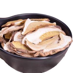 Porcini Cep Boletus - Product Image 1