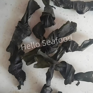 Nudos de algas secas saludables y ricos en nutrientes repletos de vitaminas esenciales - Product Image 5