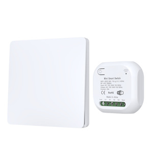 Mini interrupteur mural intelligent 10A RF433 240V 1 voie à commande tactile avec couvercle en plastique Fabriqué en Chine - Product Image 4