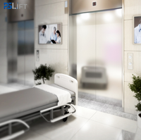 Ascensore Silenzioso di Qualità Langger per Casa, Residenziale, Ospedale, 1000kg, 1.0M/S, con Locale Macchina, Ascensore Commerciale da 1000kg con Certificato CE