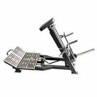 Machine à tractions en T professionnelle à usage commercial, en acier, avec plaques de poids, pour les exercices du dos, des biceps, des épaules et de la poitrine