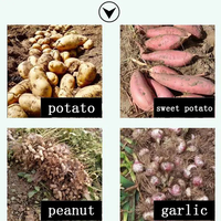 Machine de récolte de pommes de terre, de patates douces et de carottes montée sur tracteur agricole, haute productivité, automatique, à moteur