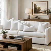 Ventes en gros d'inserts de coussins en duvet de plumes, moelleux et volumineux, enveloppe 100% coton, pour lit, canapé, personnalisable