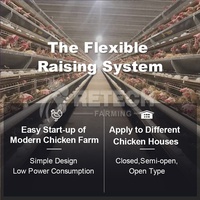 Automatic Battery Egg Layer Chicken Cages for Sale