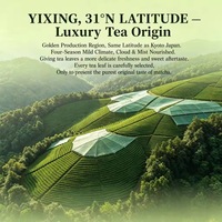 Tapa para Botella de Agua con Polvo de Matcha Orgánico de Grado Ceremonial OEM, Tapa para Botella de Polvo de Matcha, Cápsulas de Matcha de 28 mm, 100 % Natural