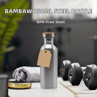 Bouteille d'eau sport en acier inoxydable non isolée de 501-600 ml, sans BPA, fabriquée en Chine