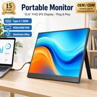 Écran portable 15,6 pouces 1080P FHD IPS ultra-fin, deuxième écran pour ordinateur portable, moniteur LCD de jeu Type-C pour PS5 OEM ODM