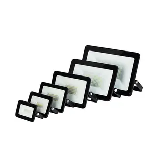 차가운 백색 옥외 LED 램프 Ip66 방수 알루미늄 투광램프 10w 20w 30w 50w 100w 150w 200w Smd Led 홍수 빛