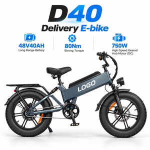 จักรยานส่งของไฟฟ้า D40 750W 48V 40Ah ล้อ 20 นิ้ว โครงอะลูมิเนียม แบตเตอรี่ในตัว เบรกดิสก์ สกู๊ตเตอร์ไฟฟ้า - Product Image 1