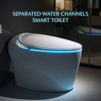 Toilette intelligente en céramique en forme d'œuf avec lumière d'ambiance, chauffage instantané, chasse d'eau siphonique et double circuit d'eau pour villas et hôtels