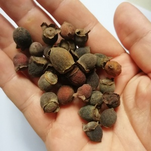 Tao jin niang crudo selvatico biologico secchi frutti interi di lanugine rosa mirto <span class=keywords><strong>frutta</strong></span> per erbe - Product Image 3