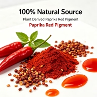 Pigment rouge naturel de paprika 200CU à haute valeur chromatique, extrait liquide de capsaïcine, colorant alimentaire de qualité alimentaire en stock