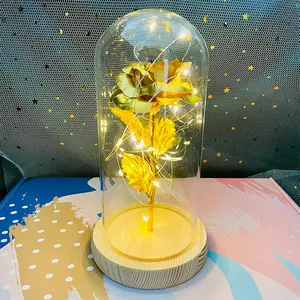 Valentijnsdag Moederdag Gift Kunstmatige Decoratieve Bloem Galaxy Rose Led Light 24K Gouden Folie Rose In Glas dome