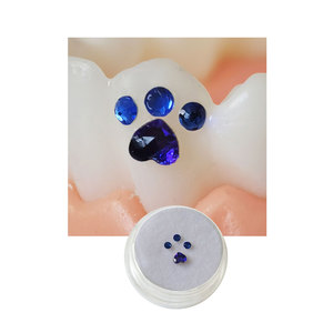 Crystal Tooth Gems | 3 - 5 mm Bear Butterfly Shape Jewelry | Wholesale OEM ODM Tooth Gem Kit - Product Image 4