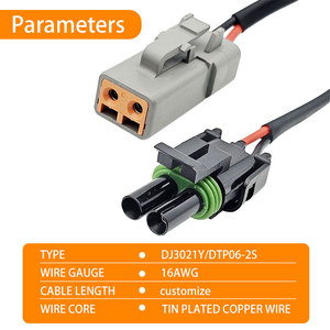双输出 DJ3021Y DTP06-2S UL 1007 16AWG 公对母适配器 2 针定制连接器 LED 工作接线线束 - Product Image 4