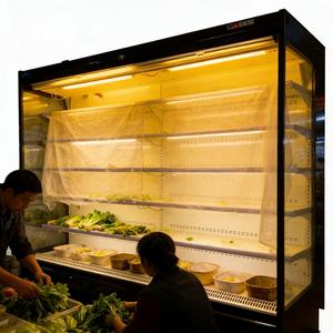 <span class=keywords><strong>Armoire</strong></span> réfrigérée commerciale à air froid, vitrine à <span class=keywords><strong>rideau</strong></span> d'air à <span class=keywords><strong>basse</strong></span> température pour le lait et les fruits - Product Image 2