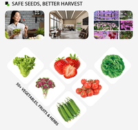 Kit de agricultura hidropónica de interior familiar para una vida saludable