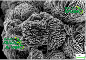 Microesferas de óxido de cobre tipo flor Óxido de cobre de 3-8um para esterilización de catalizadores-Entrega rápida - Product Image 3