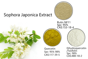 Extracto Fresco Natural de Sophora Japonica HUAWAVE, Suministro de Fábrica, Extracto de Sophora Japonica en Polvo de Grado Alimenticio - Product Image 2