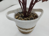 Plante artificielle Calathea en pot, style panier tressé, décoration tropicale sans entretien pour la maison, les bureaux, les entrées, les étagères, les bureaux et les hôtels