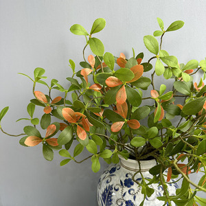 Plante Artificielle de Simulation, Guirlande Florale Multi-feuilles, Décoration Murale Horloge, Plantes Fauxes pour <span class=keywords><strong>Intérieur</strong></span> et Extérieur, Décoration Maison - Product Image 4
