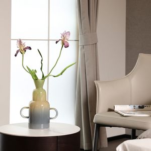 Jarrón de Vidrio de Color Morandi, Doble Capa, Estilo Nórdico, Portavelas, Botella de Aromaterapia, Jarrón de Vidrio Hidropónico de Borosilicato Alto - Product Image 5