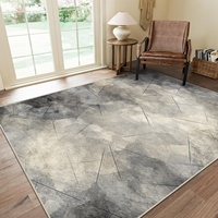 Light Grey Modern Abstract Printing Polyester Low Pile Thin Rug Non-Slip TPR Backing Washable Pet Friendly Living Room Area Rug