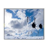 LM201WE3-TLD1 Original LCD-Modul 20,1 Zoll 1680*1050 LCD-Bildschirm für Desktop-Monitor