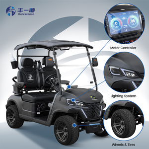 Voiturette de golf électrique 48V 5KW en métal certifiée CE, 2 places, noire, avec différentiel et essieu arrière en aluminium - Product Image 1
