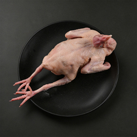 Viande de caille congelée de qualité export, certifiée Halal, enrichie en sélénium, avec procédé de congélation BQF et emballage sous vide, idéale pour les barbecues du Moyen-Orient