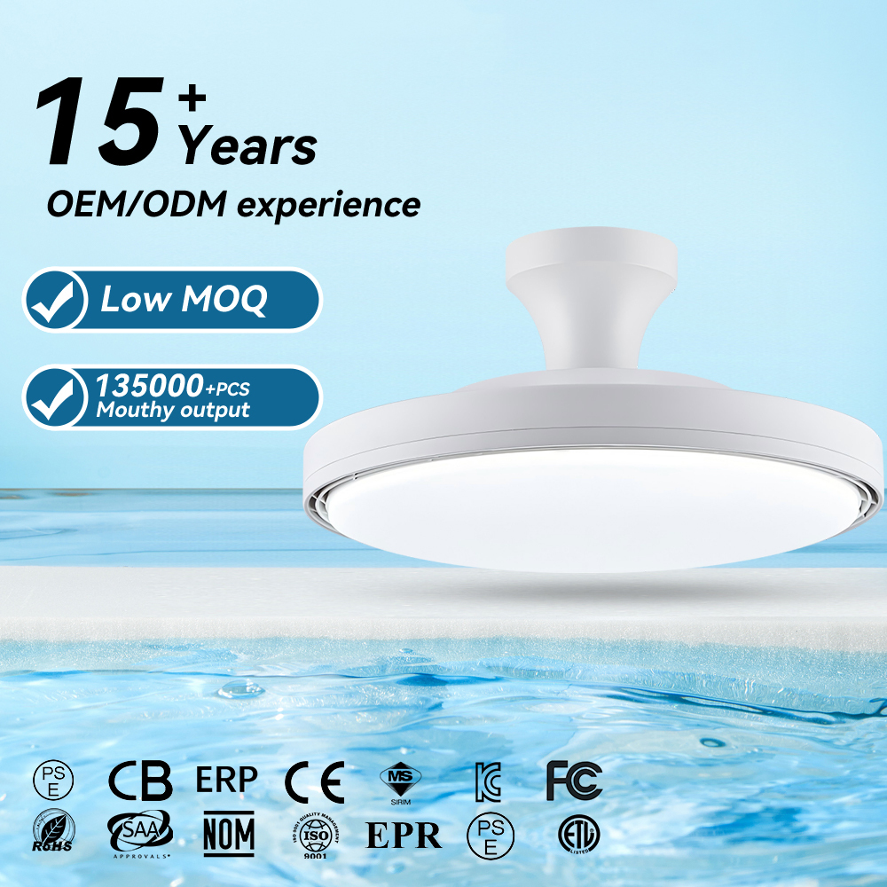 Bladeless Design Modern Style Living Room Bedroom Indoor Use Project Installation DC Motor Remote Control LED Ceiling Fan Lamp