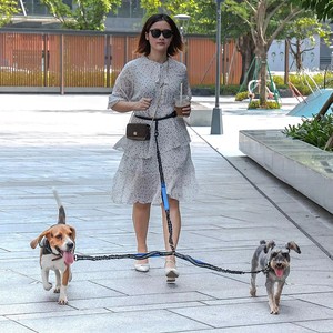 Guinzaglio Doppio NIBAO per Cani di Taglia Grande, Mani Libere |   Guinzaglio per 2 Cani Senza Grovigli |   Guinzaglio da vita per passeggiate con due cani - Product Image 5