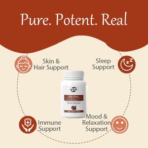 Cápsulas de Hongo Reishi, Extractos de Hongos Orgánicos Recogidos a Mano, Reishi Rojo para un Bienestar Diario Tranquilo con Beta Glucanos Verificados - Product Image 3