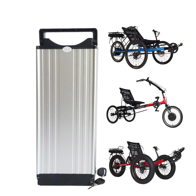 Custom 48v Recumbent Electric Trike Battery 48v 10ah 20ah 30ah Fat Electric Tricycle Battery Packs