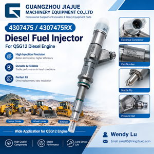 Inyector de Combustible Diésel 4307475 4307475RX para Motor QSG12, Excavadora, Equipo Pesado, Pieza de Repuesto - Product Image 1