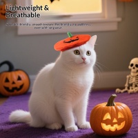 Chapeaux de pirate Halloween 2026 en forme de citrouille, couvre-chefs de dessin animé en polyester, accessoires et décorations créatifs pour animaux de compagnie