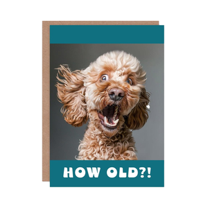 Carte d'anniversaire Artery8, photo de chien Cockapoo surprise, <span class=keywords><strong>blague</strong></span> amusante et coquine, carte de vœux d'animal, fabriquée en Chine - Product Image 1