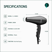 2000W AC Moteur Sèche-Cheveux Salon Sèche-Cheveux Ensemble Avec Diffuseur Concentrateur Buse Pour Salon