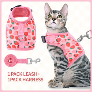 Adjustable Escape Proof Custom jaket kucing peliharaan <span class=keywords><strong>Harness</strong></span> Strawberry dan Set tali rompi untuk berjalan kucing dan anak anjing - Product Image 2