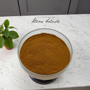 Estratto di tarassaco Top fornitore radice di tarassaco in polvere - Product Image 5