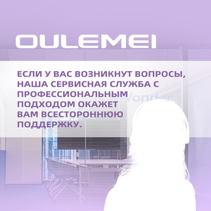 Secador de Pelo Profesional de Alta Velocidad con Motor BLDC de 1600W y 110000 RPM, Función de Iones Negativos, Precio de Fábrica - Product Image 6