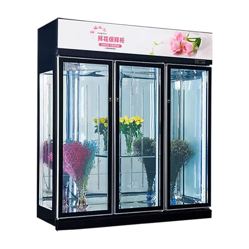 Armoire à fleurs Armoire de conservation Armoire de réfrigération Refroidisseur d'air par évaporation Équipement de réfrigération
