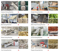 Warmtepomp Knoflook Gember Guave Goji Bessendroger Machine Droogmachine Fruit Groenten Mesh Roestvrij Staal Meegeleverd