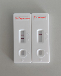 Fabrikpreis Promabio HisTag Detektions-Monoklonaler-Antikörper Schnelltest-Kit Modell C0101 36 Monate Haltbarkeit 20-Minuten-Lesung - Product Image 5
