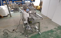 Ligne de recouvrement automatique de chocolat pour biscuits et noix, 15 kg/lot, en acier inoxydable, machine à glaçage de beignets et à enrobage de chocolat