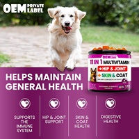 Complément alimentaire pour les hanches et les articulations des chiens, multivitamines à mâcher pour chiens, compléments pour les hanches et les articulations, vitamines pour chiens en marque privée