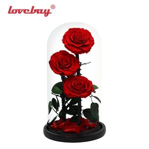 Cadeaux de <span class=keywords><strong>la</strong></span> Saint-Valentin <span class=keywords><strong>La</strong></span> <span class=keywords><strong>Belle</strong></span> <span class=keywords><strong>et</strong></span> <span class=keywords><strong>la</strong></span> Bête <span class=keywords><strong>Rose</strong></span> enchantée Cadeaux <span class=keywords><strong>Cloche</strong></span> en verre Roses éternelles dans un dôme en verre Fleurs préservées au toucher réel - Product Image 4