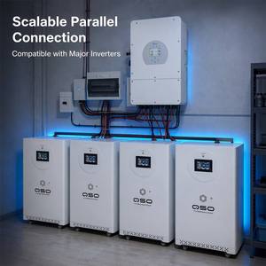 Batería de iones de litio QSO 16Kwh 4nrgy 51.2V 314Ah 48V, paquete de baterías de 15kw <span class=keywords><strong>para</strong></span> almacenamiento de energía, 15 16 kw Kwh 16kw 15Kwh Pl de LiFePO4 Akku - Product Image 2
