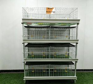 Jaula para Pollos de 4 Niveles y 2 Puertas, Galvanizada en Frío, para 96 Pollos - Product Image 3
