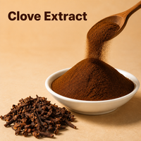 Poudre d'extrait de clou de girofle 10:1, extrait naturel de bourgeons de clou de girofle, qualité alimentaire, vente en gros pour compléments alimentaires